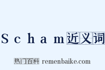 Scham近义词是什么意思的图片